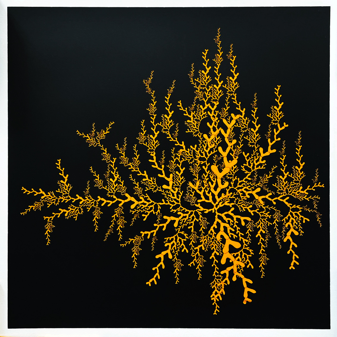 CORAL
